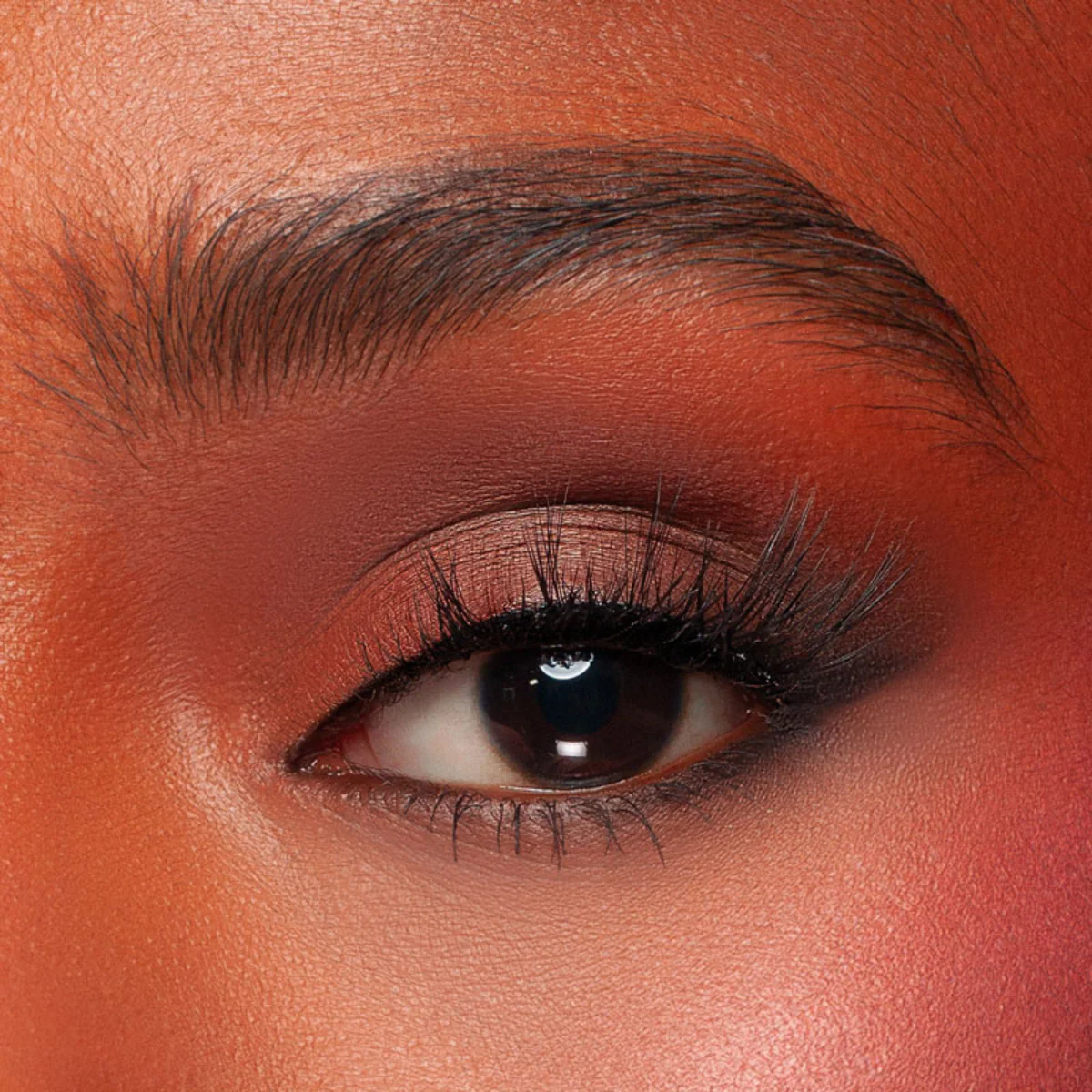 Kash Beauty Divine Lash - Image 2