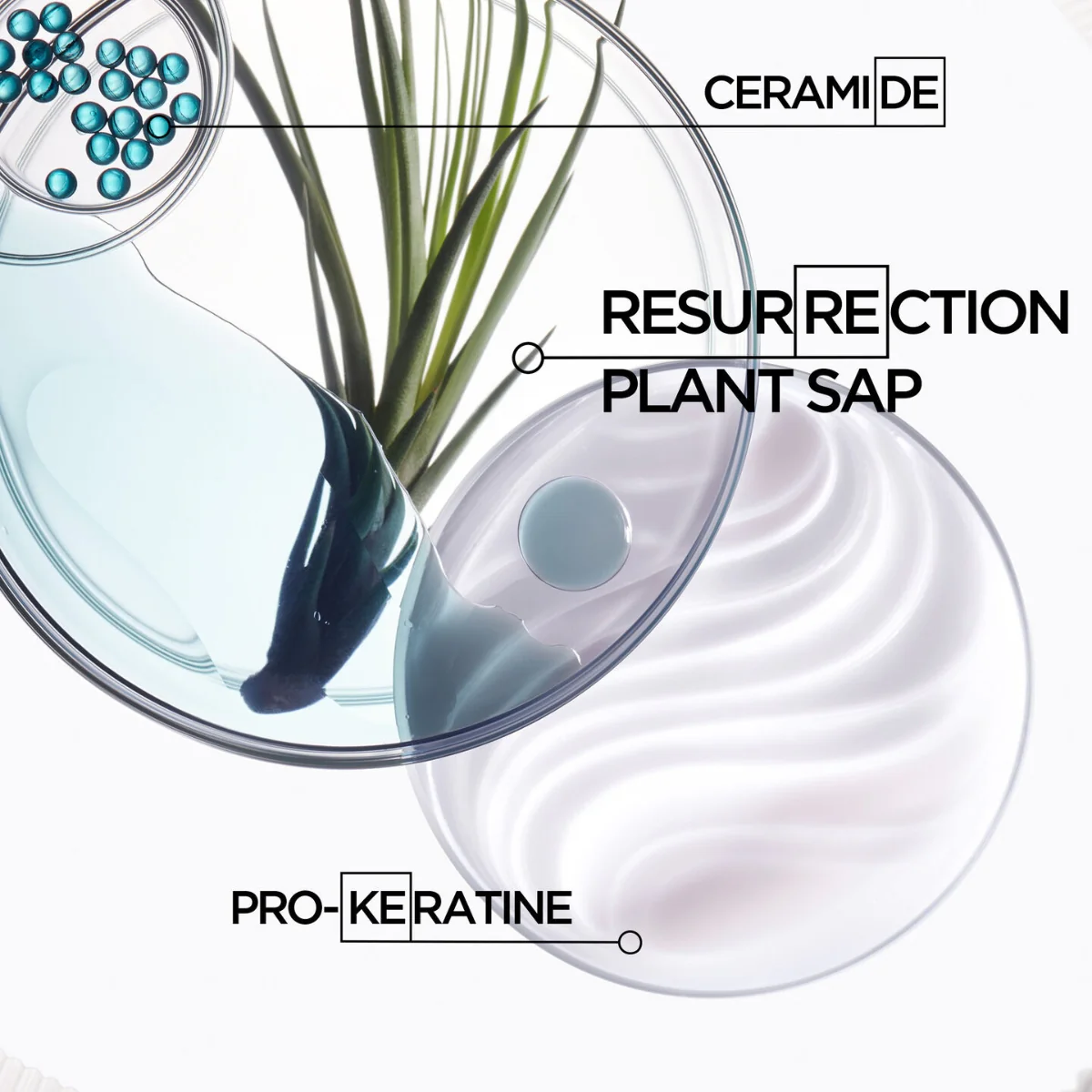 Kérastase Resistance Ciment Thermique - Image 5