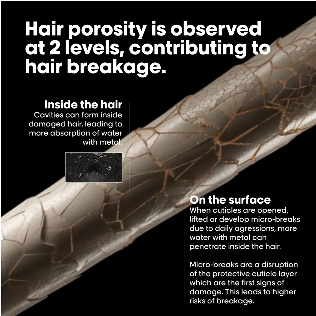 L’Oréal Professionnel Metal Detox Anti-Porosity Filler Pre-Shampoo Treatment 250ml - Image 5