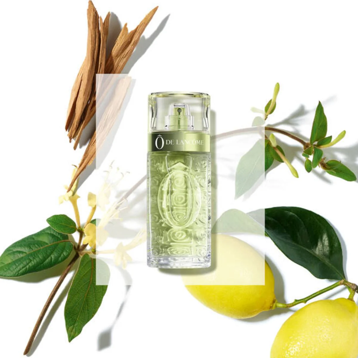 Lancôme Ô de Lancôme  Eau de Toilette - Image 2