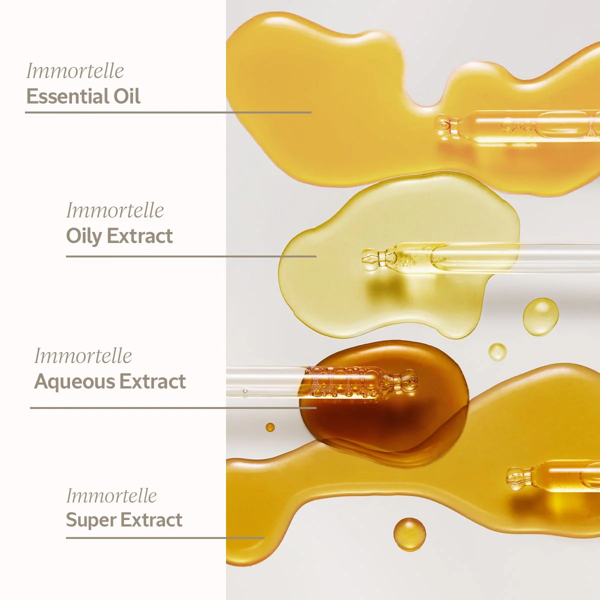 L'Occitane Immortelle Divine Cream - Image 2