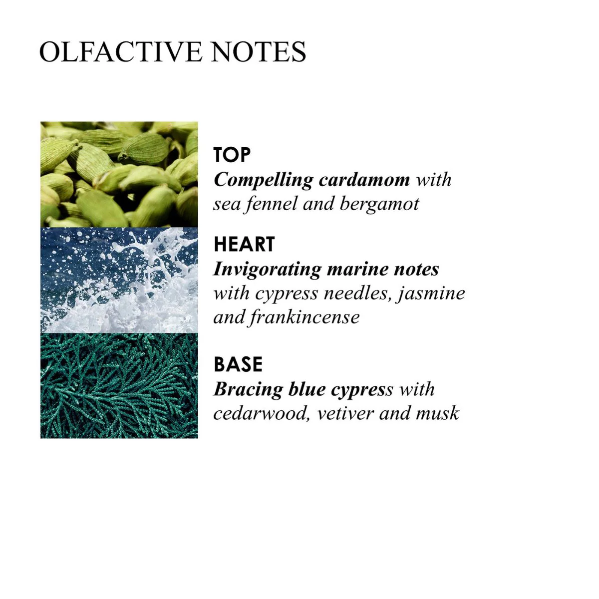 Molton Brown Coastal Cypress & Sea Fennel Signature Scented Single Wick Candle. - Image 3