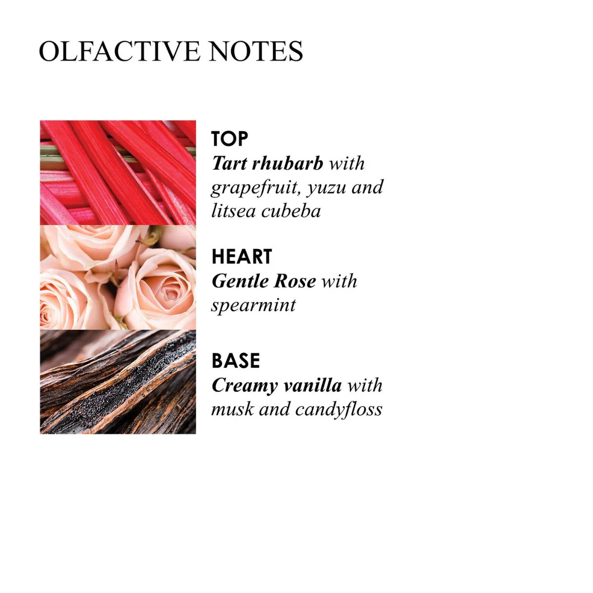 Molton Brown Delicious Rhubarb & Rose Aroma Reeds Refill - Image 3